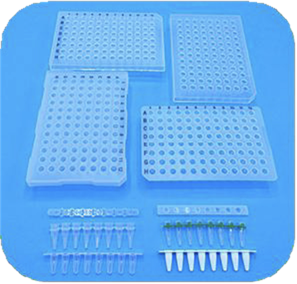 PCR series