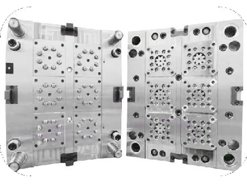mold picture